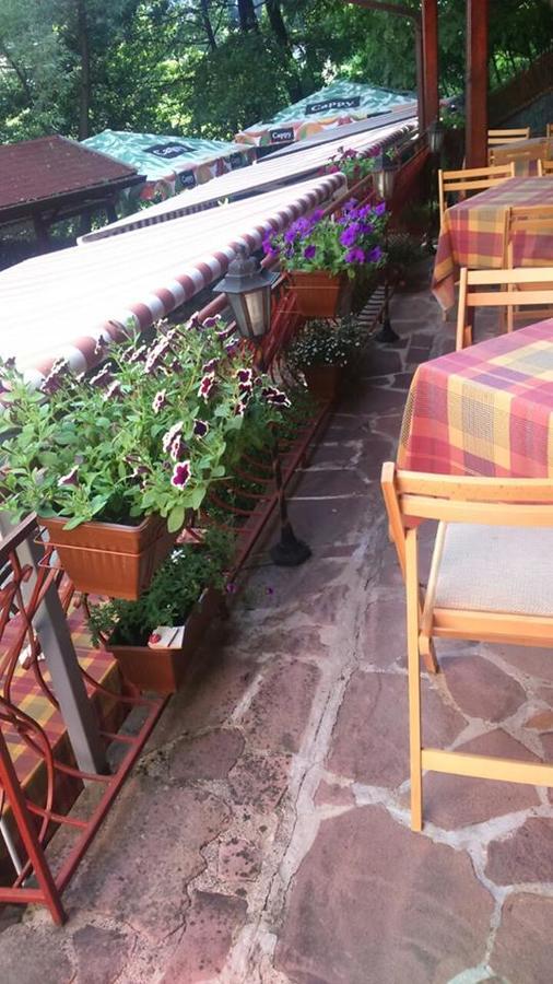 Hotel Restaurant Vodenitsata Берковиця Екстер'єр фото